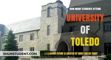 Toledo University's Student Population: How Many?