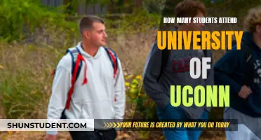 Exploring UConn: Understanding Student Population and University Dynamics