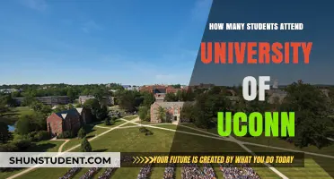 Exploring UConn: Student Enrollment Figures