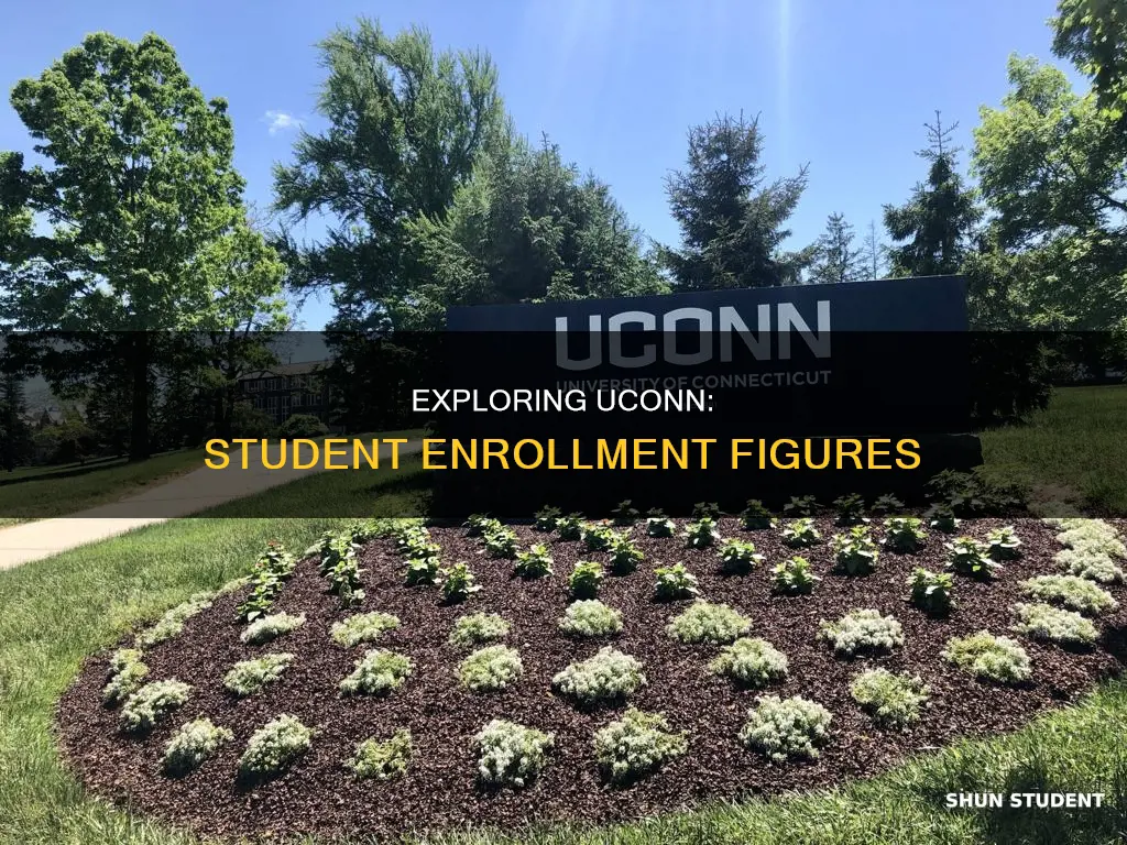 how many students attend university of uconn