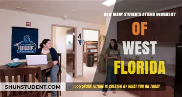 University of West Florida: Student Population Insights