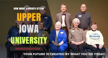Upper Iowa University: Student Population Insights