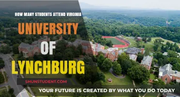 Lynchburg University's Student Population