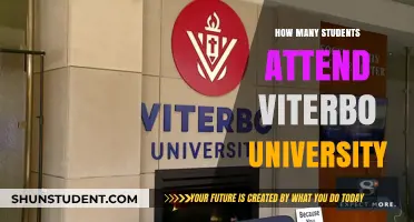 Attendee Figures for Viterbo University: An Overview