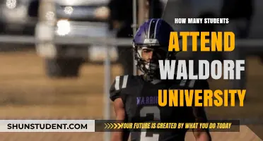 Exploring Waldorf University's Student Population