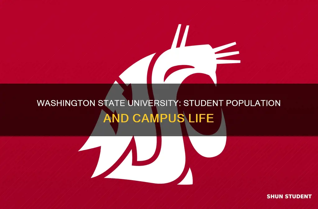 how many students attend washington state university