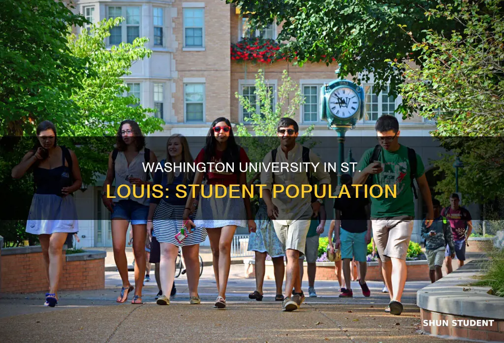 how many students attend washington university in st louis