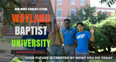 Wayland Baptist University: Student Population and More