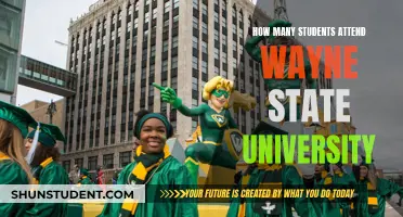 Exploring Enrollment Figures at Wayne State University