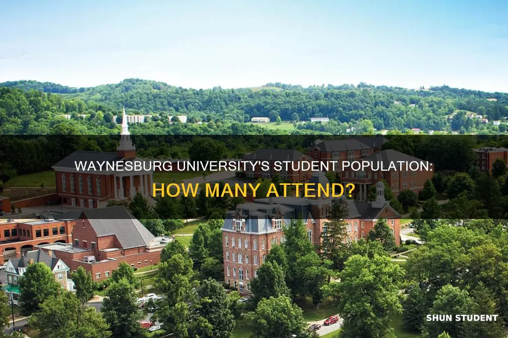 how many students attend waynesburg university