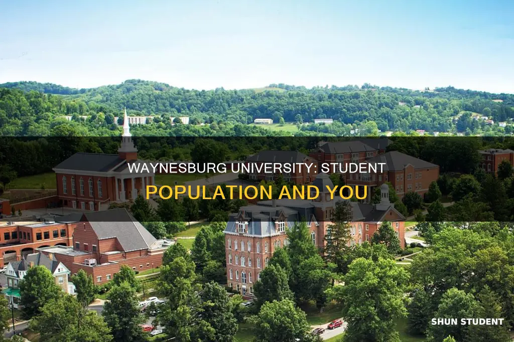 how many students attend waynesburg university