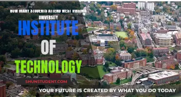 West Virginia University Institute of Technology Student Population