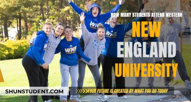 Western New England University: Student Population and Campus Life