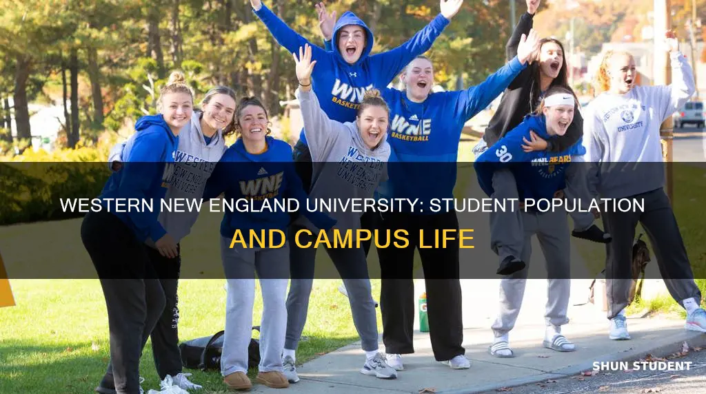 how many students attend western new england university