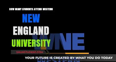 Western New England University: Student Population Insights