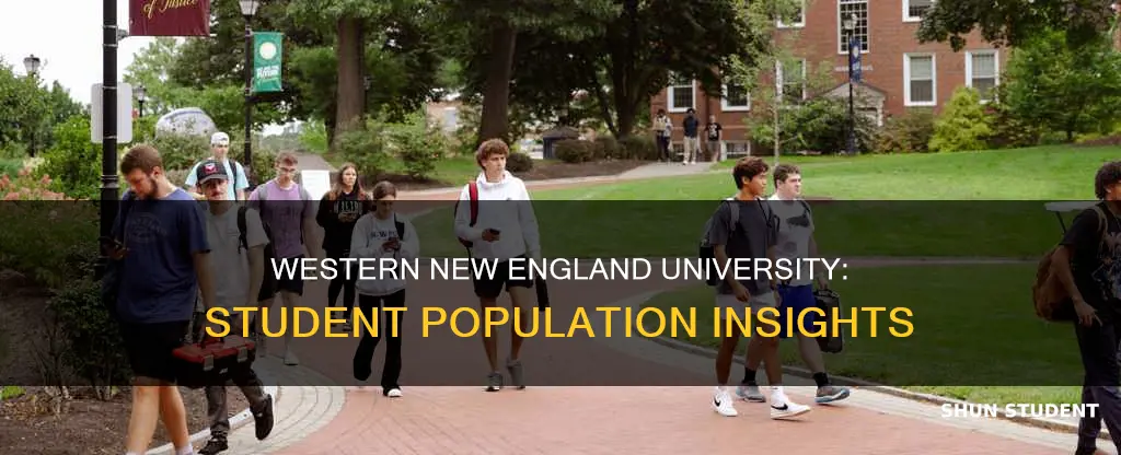 how many students attend western new england university