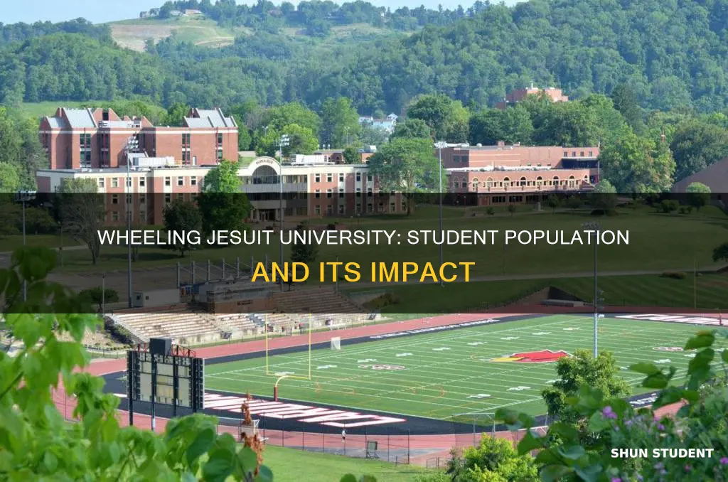 how many students attend wheeling jesuit university