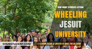 Attendee Figures for Wheeling Jesuit University