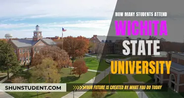 Exploring Wichita State University's Student Population