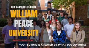 Exploring Enrollment at William Peace University