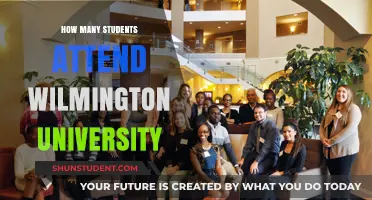 Wilmington University: Student Enrollment Figures and Insights