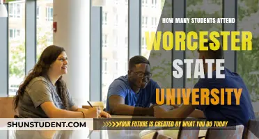 Exploring Enrollment: Worcester State University's Student Population