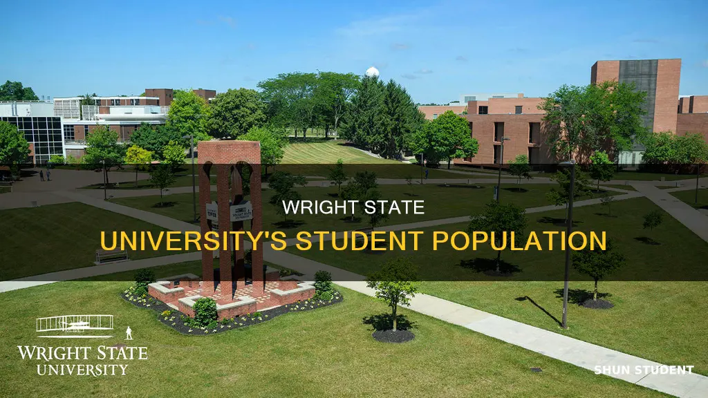 how many students attend wright state university