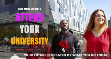 York University's Student Population: A Comprehensive Overview