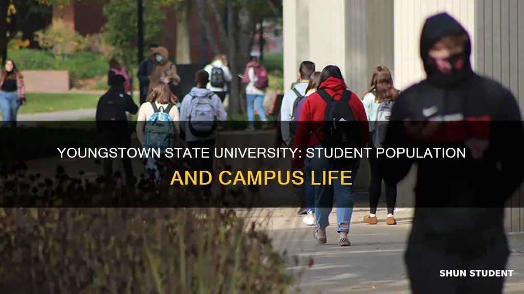 how many students attend youngstown state university