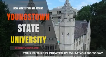 Youngstown State University: Student Population Analysis