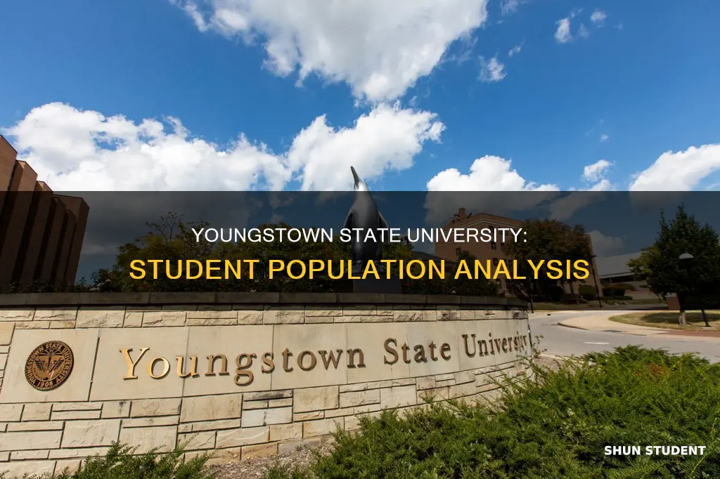 how many students attend youngstown state university