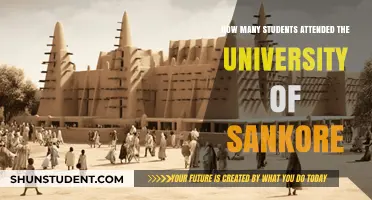 Attendee Figures of the Historic University of Sankore