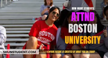 Boston University's Student Population: A Comprehensive Overview