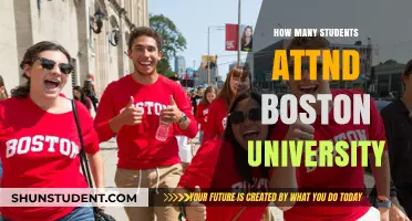 Boston University's Student Population: A Comprehensive Overview