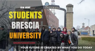 Exploring Brescia University's Student Population