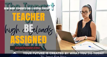 Special Education Teacher Caseload Limits: Balancing Student Needs and Support