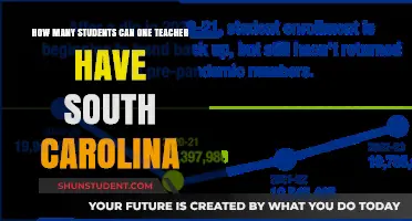 South Carolina Teacher-Student Ratios: How Many Students Per Teacher?
