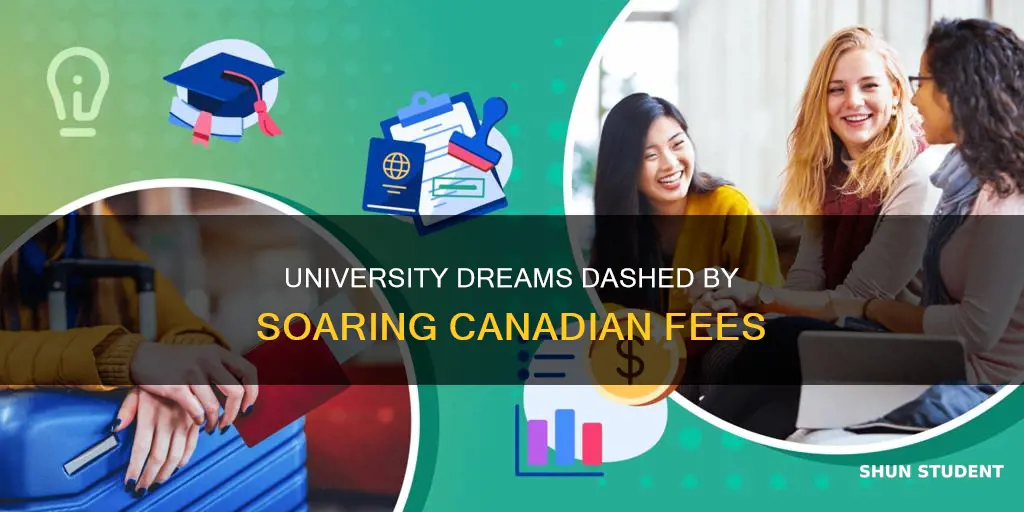 how many students can t afford university in canada