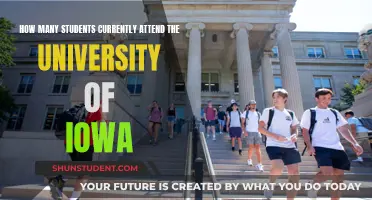 Iowa University's Student Population: Current Numbers and Insights