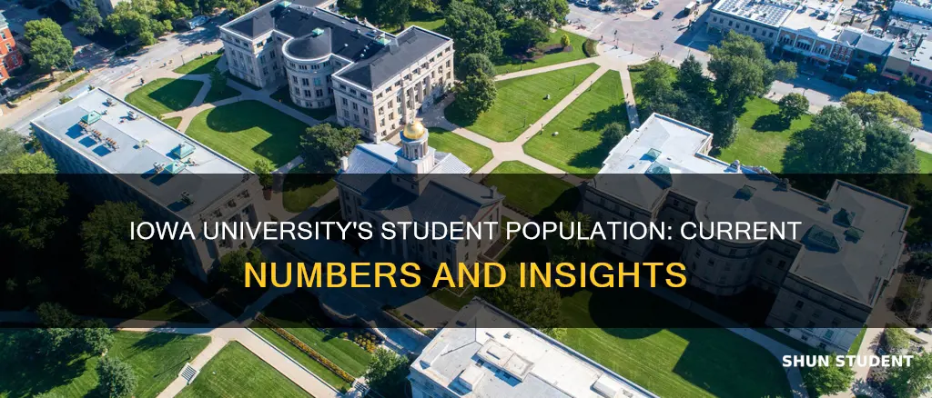 how many students currently attend the university of iowa