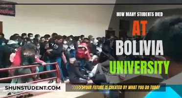 Bolivia University Student Deaths: A Tragic Count