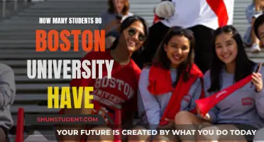 Boston University's Student Population: A Comprehensive Overview