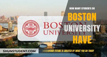 Boston University's Student Population