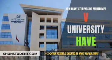 Mohammed V University: A Thriving Student Community