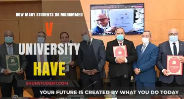 Mohammed V University: A Student Hub