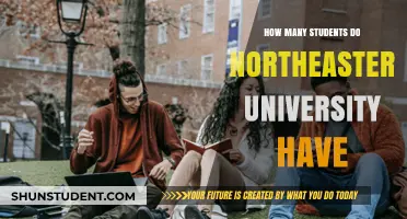 Northeastern University: A Large Student Body?