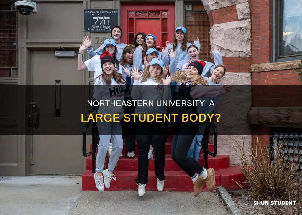 how many students do northeastern university have
