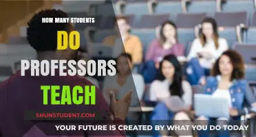 Understanding Professors' Teaching Loads: How Many Students Do They Manage?