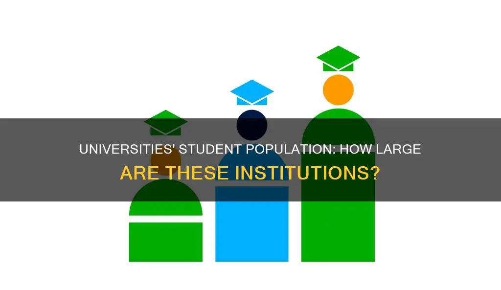 how many students do universities have