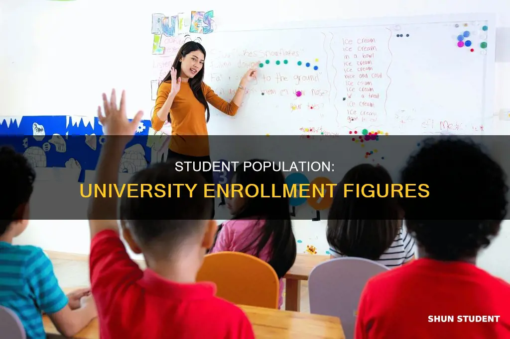 how many students do universities have